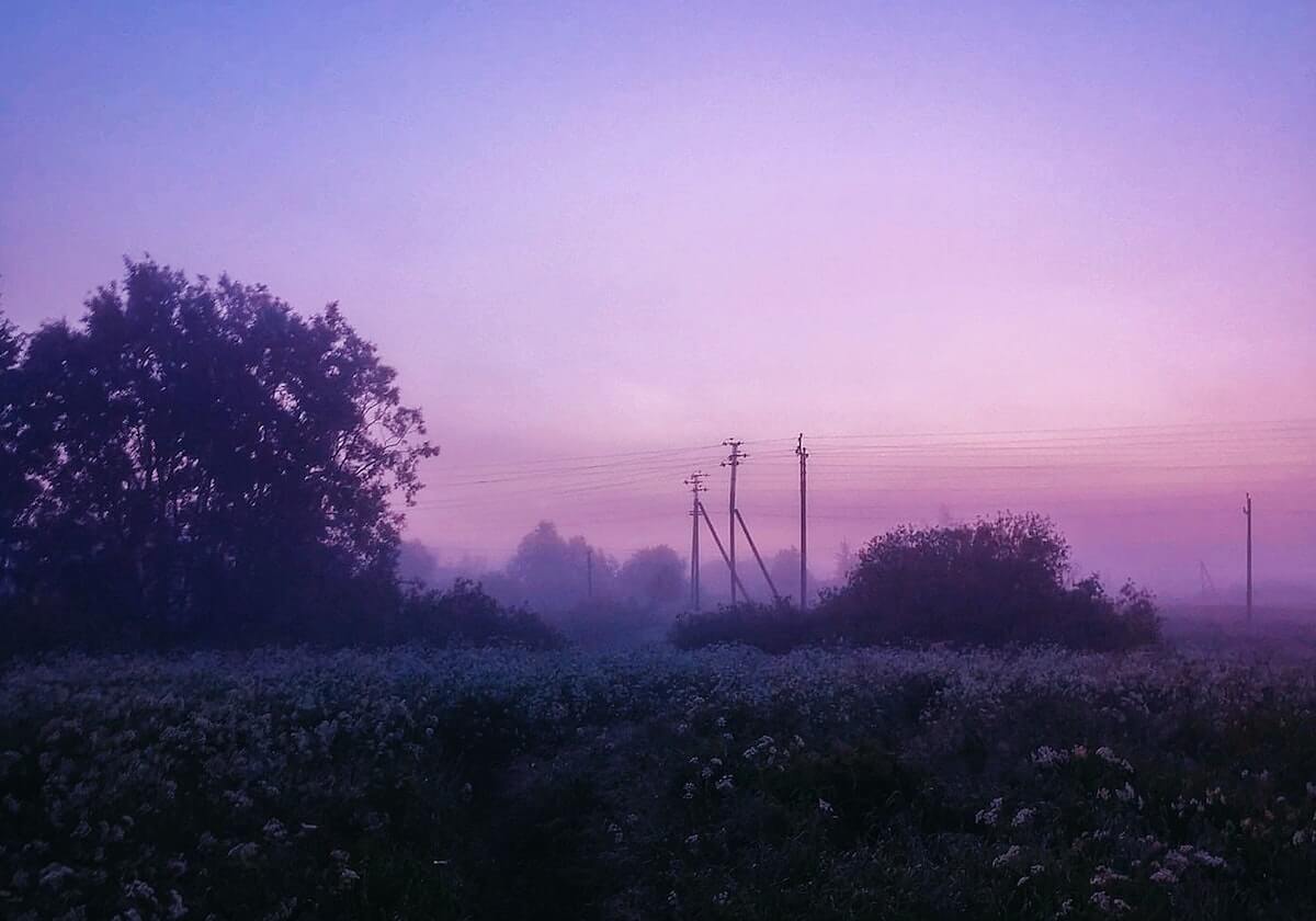 短跑名将韦永丽收获“完美落幕” 返回广西执教